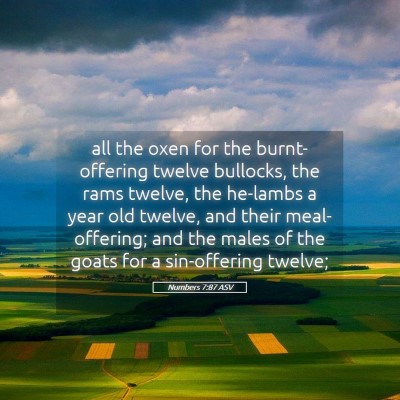 Picture 05 - Numbers 7:87 ASV - all the oxen for the burnt-offering twelve - Bible Verse Picture