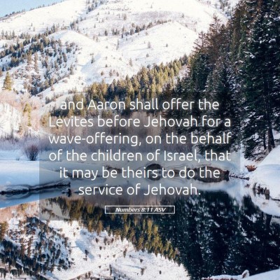 Picture 05 - Numbers 8:11 ASV - and Aaron shall offer the Levites before Jehovah - Bible Verse Picture