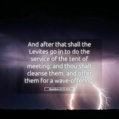 Picture 05 - Numbers 8:15 ASV - And after that shall the Levites go in to do the - Bible Verse Picture