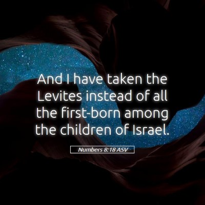 Picture 05 - Numbers 8:18 ASV - And I have taken the Levites instead of all the - Bible Verse Picture