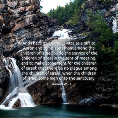 Picture 05 - Numbers 8:19 ASV - And I have given the Levites as a gift to Aaron - Bible Verse Picture