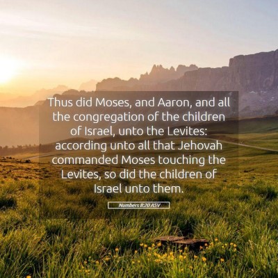 Picture 05 - Numbers 8:20 ASV - Thus did Moses, and Aaron, and all the - Bible Verse Picture