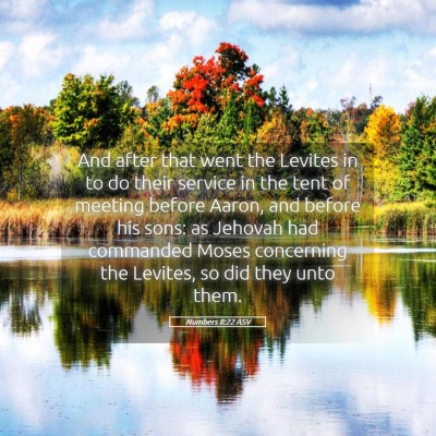 Picture 05 - Numbers 8:22 ASV - And after that went the Levites in to do their - Bible Verse Picture