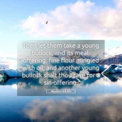 Picture 05 - Numbers 8:8 ASV - Then let them take a young bullock, and its - Bible Verse Picture