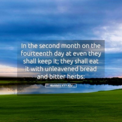 Picture 05 - Numbers 9:11 ASV - In the second month on the fourteenth day at even - Bible Verse Picture