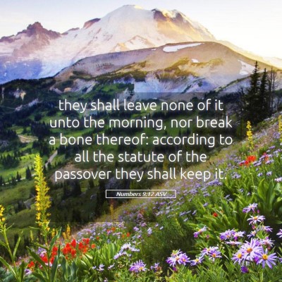 Picture 05 - Numbers 9:12 ASV - they shall leave none of it unto the morning, nor - Bible Verse Picture