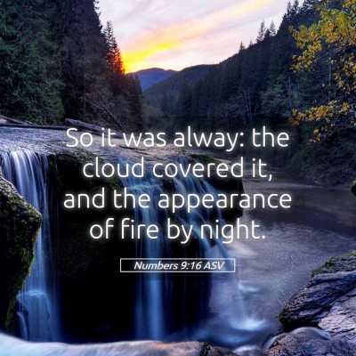 Picture 05 - Numbers 9:16 ASV - So it was alway: the cloud covered it, and the - Bible Verse Picture