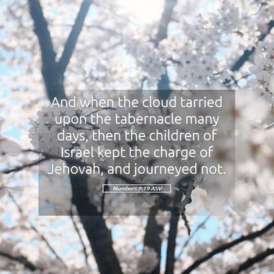 Picture 05 - Numbers 9:19 ASV - And when the cloud tarried upon the tabernacle - Bible Verse Picture