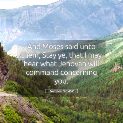 Picture 05 - Numbers 9:8 ASV - And Moses said unto them, Stay ye, that I may - Bible Verse Picture