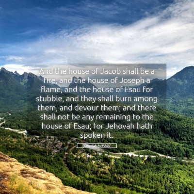 Picture 05 - Obadiah 1:18 ASV - And the house of Jacob shall be a fire, and the - Bible Verse Picture