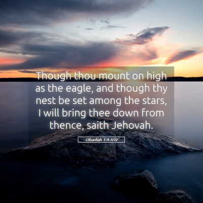 Picture 05 - Obadiah 1:4 ASV - Though thou mount on high as the eagle, and - Bible Verse Picture