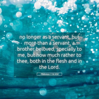 Picture 05 - Philemon 1:16 ASV - no longer as a servant, but more than a servant, - Bible Verse Picture