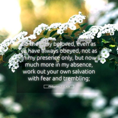Picture 05 - Philippians 2:12 ASV - So then, my beloved, even as ye have always - Bible Verse Picture