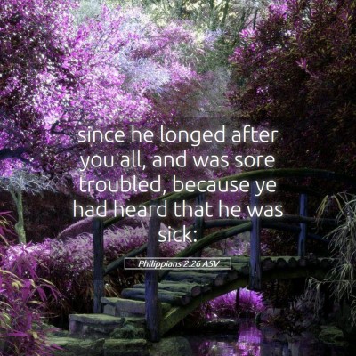 Picture 05 - Philippians 2:26 ASV - since he longed after you all, and was sore - Bible Verse Picture
