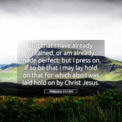 Picture 05 - Philippians 3:12 ASV - Not that I have already obtained, or am already - Bible Verse Picture