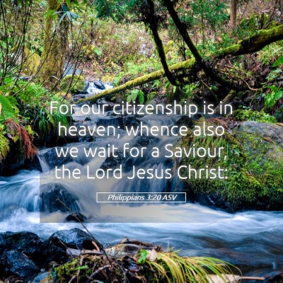 Picture 05 - Philippians 3:20 ASV - For our citizenship is in heaven; whence also we - Bible Verse Picture