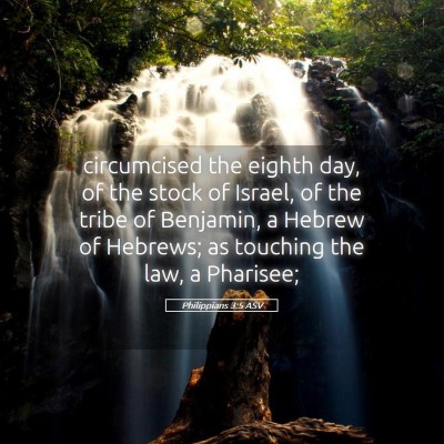 Picture 05 - Philippians 3:5 ASV - circumcised the eighth day, of the stock of - Bible Verse Picture