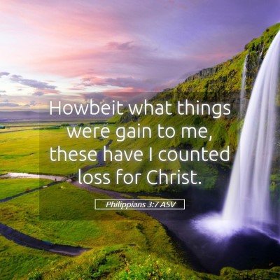 Picture 05 - Philippians 3:7 ASV - Howbeit what things were gain to me, these have I - Bible Verse Picture