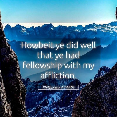 Picture 05 - Philippians 4:14 ASV - Howbeit ye did well that ye had fellowship with - Bible Verse Picture