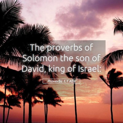 Picture 05 - Proverbs 1:1 ASV - The proverbs of Solomon the son of David, king of - Bible Verse Picture