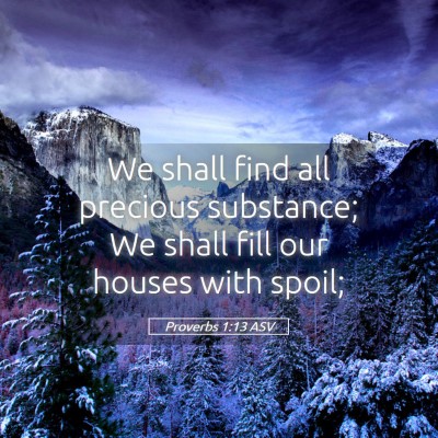 Picture 05 - Proverbs 1:13 ASV - We shall find all precious substance; We shall - Bible Verse Picture