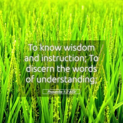 Picture 05 - Proverbs 1:2 ASV - To know wisdom and instruction; To discern the - Bible Verse Picture