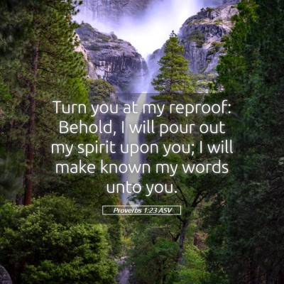 Picture 05 - Proverbs 1:23 ASV - Turn you at my reproof: Behold, I will pour out - Bible Verse Picture