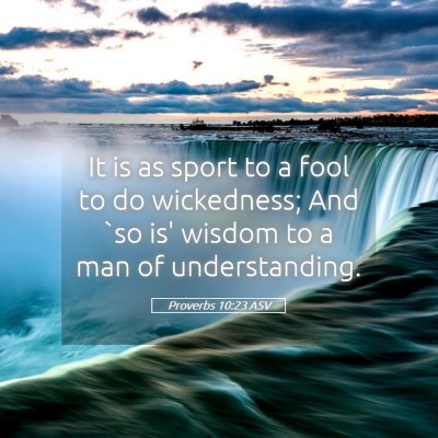 Picture 05 - Proverbs 10:23 ASV - It is as sport to a fool to do wickedness; And - Bible Verse Picture