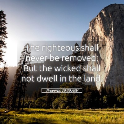 Picture 05 - Proverbs 10:30 ASV - The righteous shall never be removed; But the - Bible Verse Picture