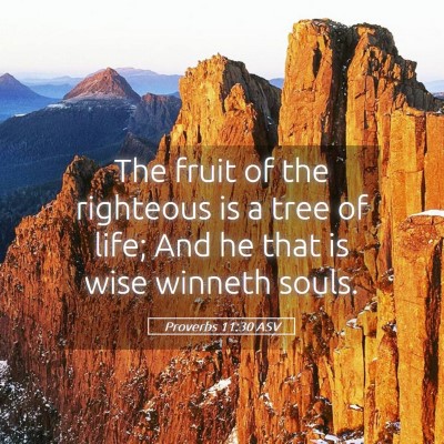 Picture 05 - Proverbs 11:30 ASV - The fruit of the righteous is a tree of life; And - Bible Verse Picture