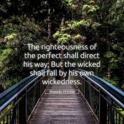 Picture 05 - Proverbs 11:5 ASV - The righteousness of the perfect shall direct his - Bible Verse Picture
