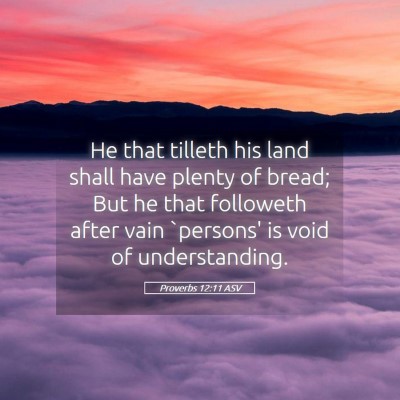Picture 05 - Proverbs 12:11 ASV - He that tilleth his land shall have plenty of - Bible Verse Picture
