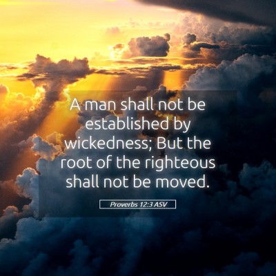 Picture 05 - Proverbs 12:3 ASV - A man shall not be established by wickedness; But - Bible Verse Picture