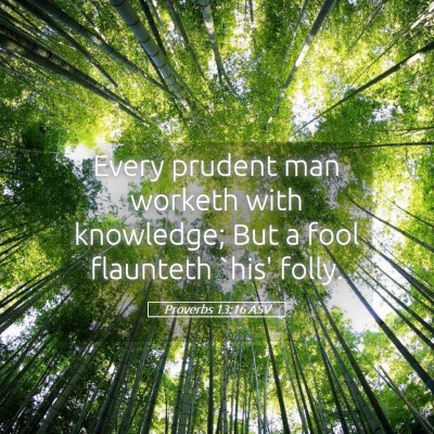Picture 05 - Proverbs 13:16 ASV - Every prudent man worketh with knowledge; But a - Bible Verse Picture