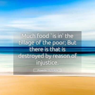 Picture 05 - Proverbs 13:23 ASV - Much food `is in' the tillage of the poor; But - Bible Verse Picture