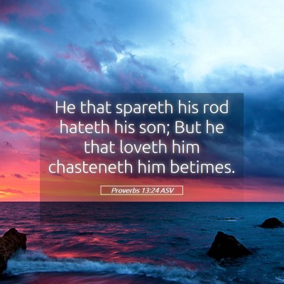 Picture 05 - Proverbs 13:24 ASV - He that spareth his rod hateth his son; But he - Bible Verse Picture