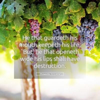 Picture 05 - Proverbs 13:3 ASV - He that guardeth his mouth keepeth his life; - Bible Verse Picture