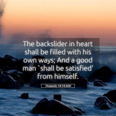 Picture 05 - Proverbs 14:14 ASV - The backslider in heart shall be filled with his - Bible Verse Picture