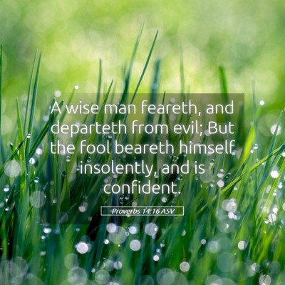 Picture 05 - Proverbs 14:16 ASV - A wise man feareth, and departeth from evil; But - Bible Verse Picture