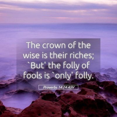 Picture 05 - Proverbs 14:24 ASV - The crown of the wise is their riches; `But' the - Bible Verse Picture
