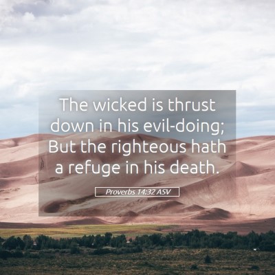Picture 05 - Proverbs 14:32 ASV - The wicked is thrust down in his evil-doing; But - Bible Verse Picture