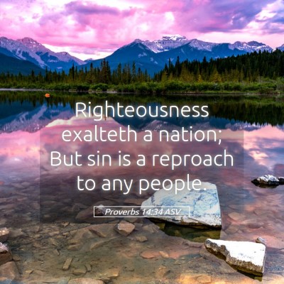 Picture 05 - Proverbs 14:34 ASV - Righteousness exalteth a nation; But sin is a - Bible Verse Picture