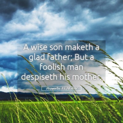 Picture 05 - Proverbs 15:20 ASV - A wise son maketh a glad father; But a foolish - Bible Verse Picture