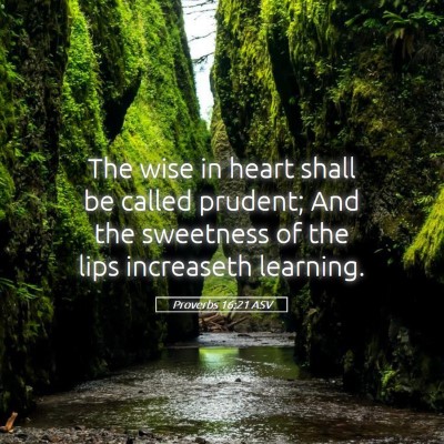 Picture 05 - Proverbs 16:21 ASV - The wise in heart shall be called prudent; And - Bible Verse Picture