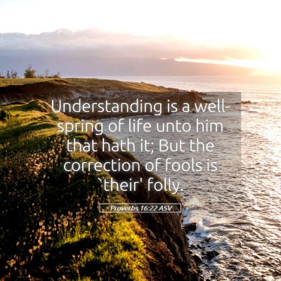 Picture 05 - Proverbs 16:22 ASV - Understanding is a well-spring of life unto him - Bible Verse Picture