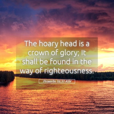 Picture 05 - Proverbs 16:31 ASV - The hoary head is a crown of glory; It shall be - Bible Verse Picture