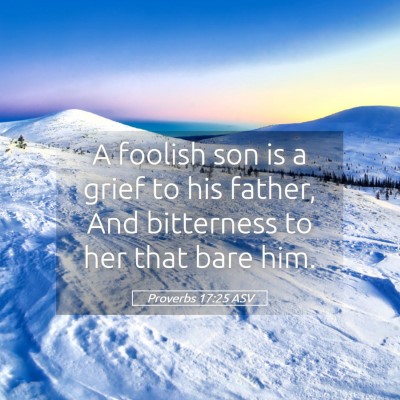 Picture 05 - Proverbs 17:25 ASV - A foolish son is a grief to his father, And - Bible Verse Picture