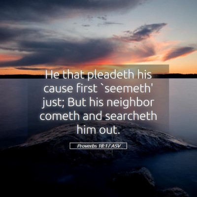 Picture 05 - Proverbs 18:17 ASV - He that pleadeth his cause first `seemeth' just; - Bible Verse Picture