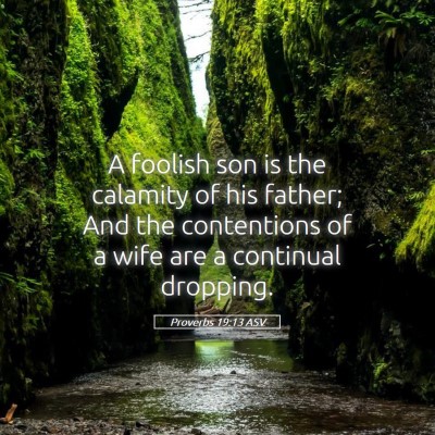 Picture 05 - Proverbs 19:13 ASV - A foolish son is the calamity of his father; And - Bible Verse Picture