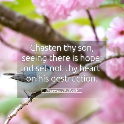Picture 05 - Proverbs 19:18 ASV - Chasten thy son, seeing there is hope; nd set not - Bible Verse Picture